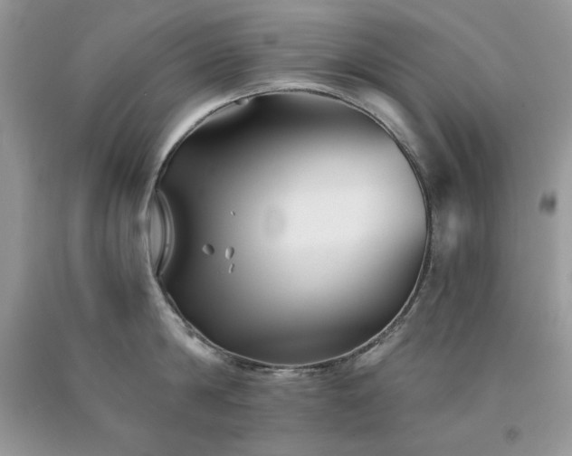 X0000094170814200710261107