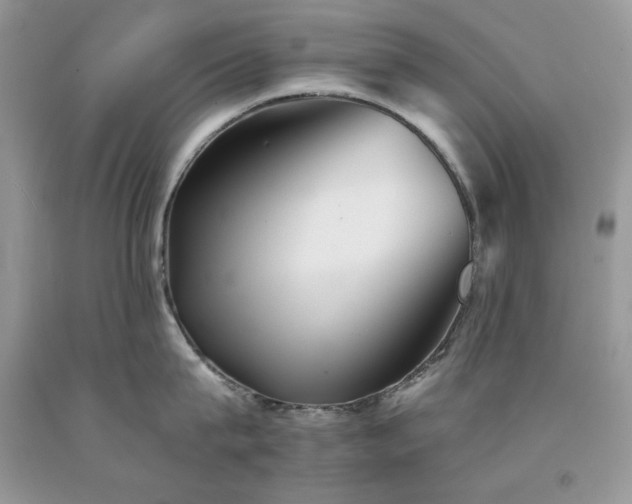 X0000094170815200710261107