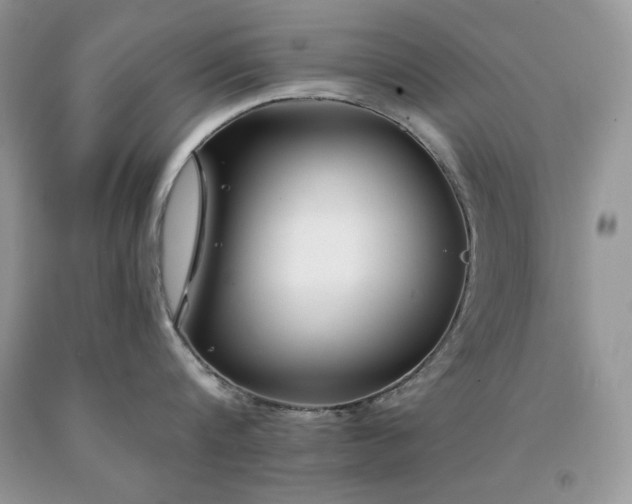 X0000094170816200710261107