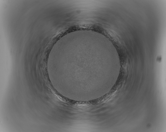 X0000094170817200710261107