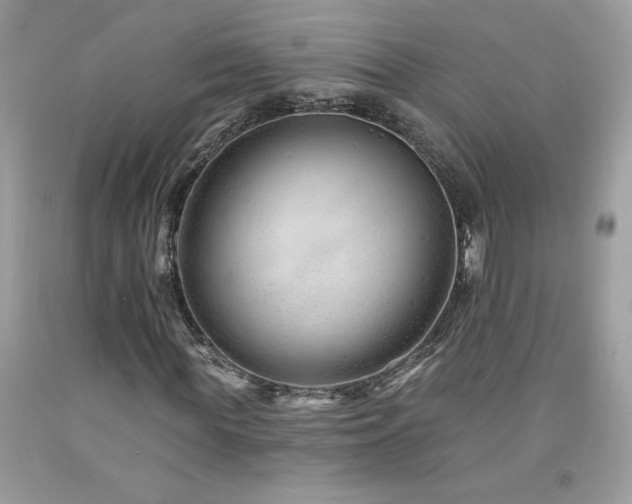 X0000094170819200710261107