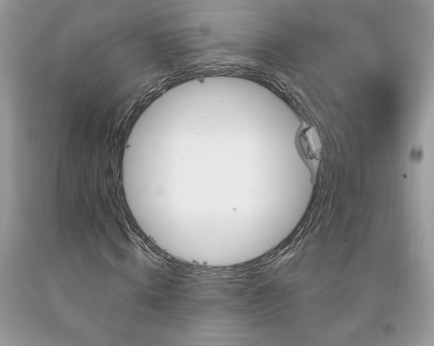 X0000094170820200710261107
