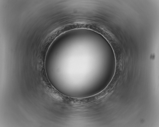 X0000094170821200710261107