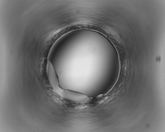 X0000094170822200710261107