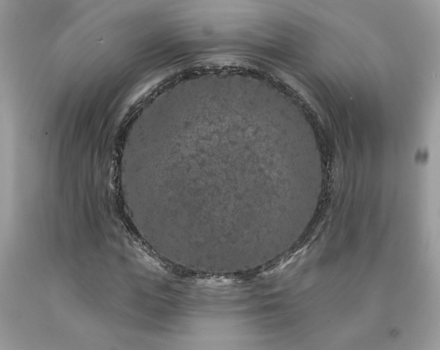 X0000094170823200710261107