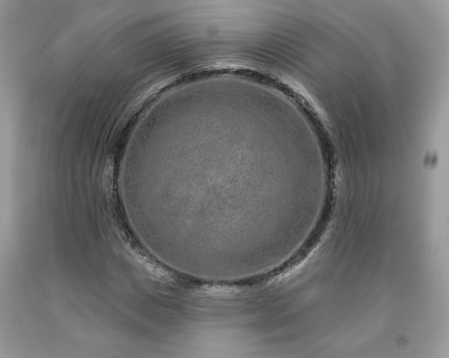 X0000094170825200710261107