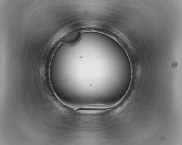 X0000094170826200710261107