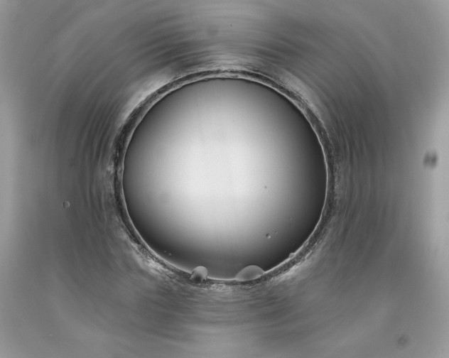 X0000094170827200710261107