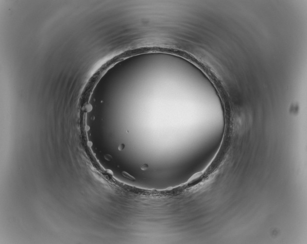 X0000094170830200710261107