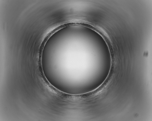 X0000094170831200710261107