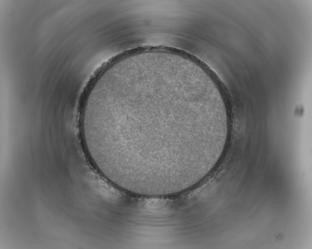 X0000094170832200710261107