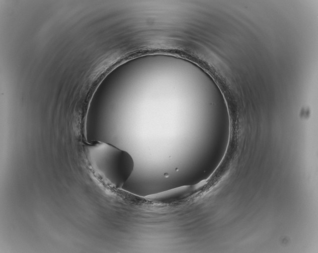 X0000094170833200710261107