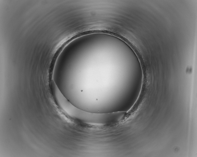 X0000094170834200710261107