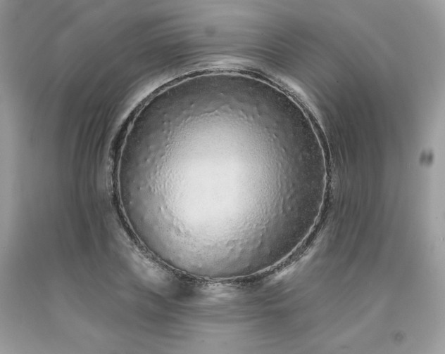 X0000094170835200710261107