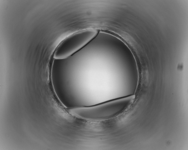 X0000094170838200710261107