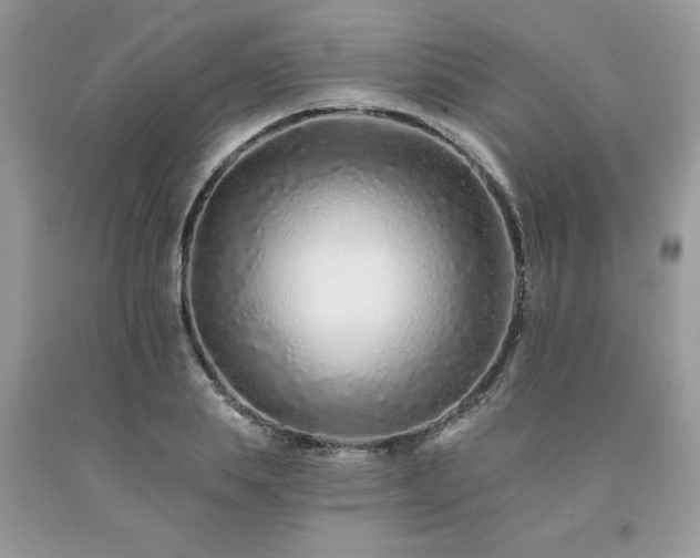 X0000094170839200710261107