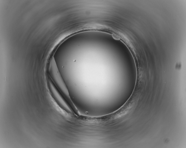 X0000094170843200710261107