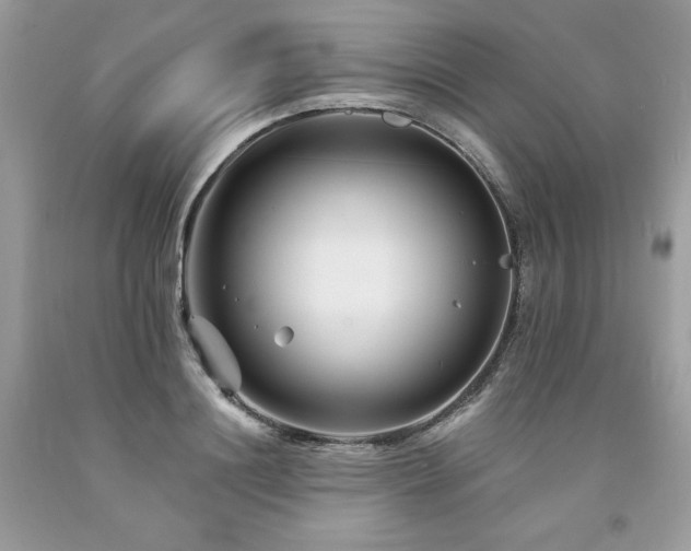 X0000094170844200710261107