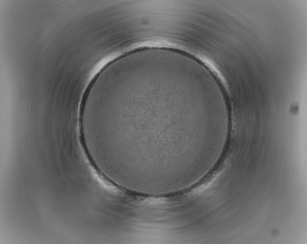 X0000094170845200710261107