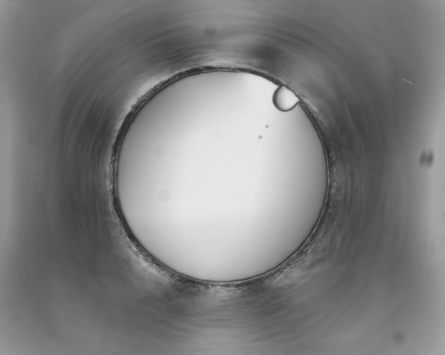 X0000094170848200710261107