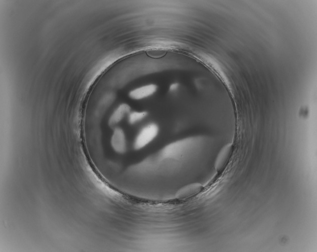 X0000094170851200710261107