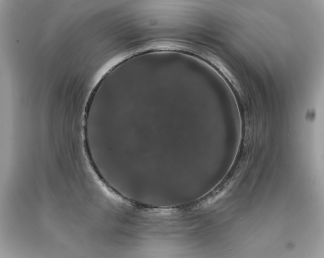 X0000094170853200710261107