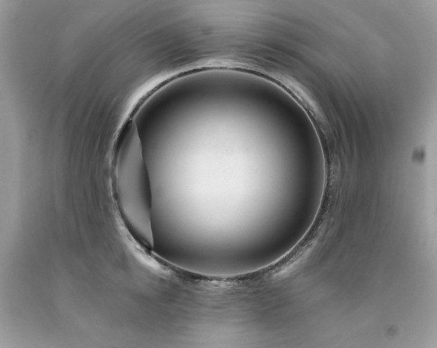 X0000094170854200710261107