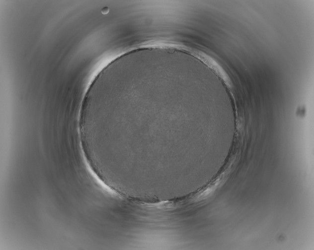 X0000094170855200710261107