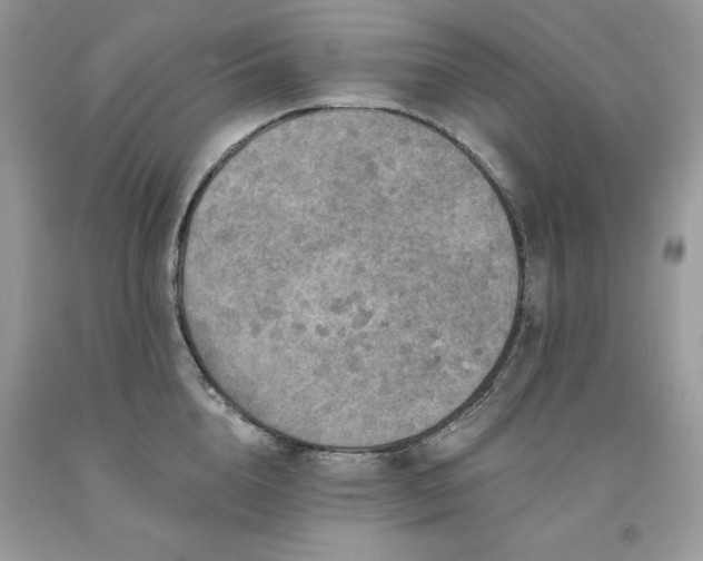 X0000094170856200710261107
