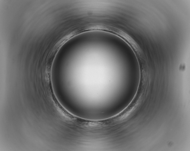 X0000094170857200710261107