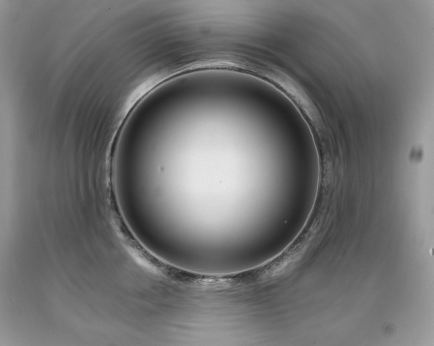 X0000094170858200710261107