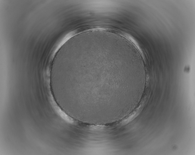 X0000094170859200710261107