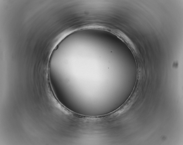 X0000094170860200710261107