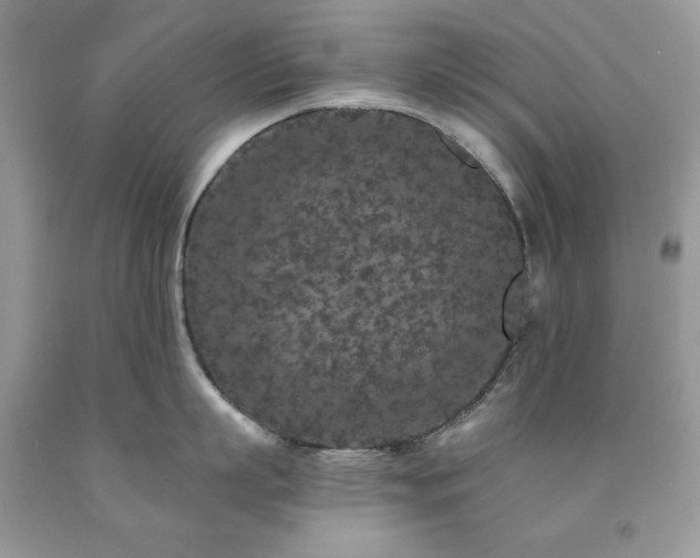 X0000094170863200710261107