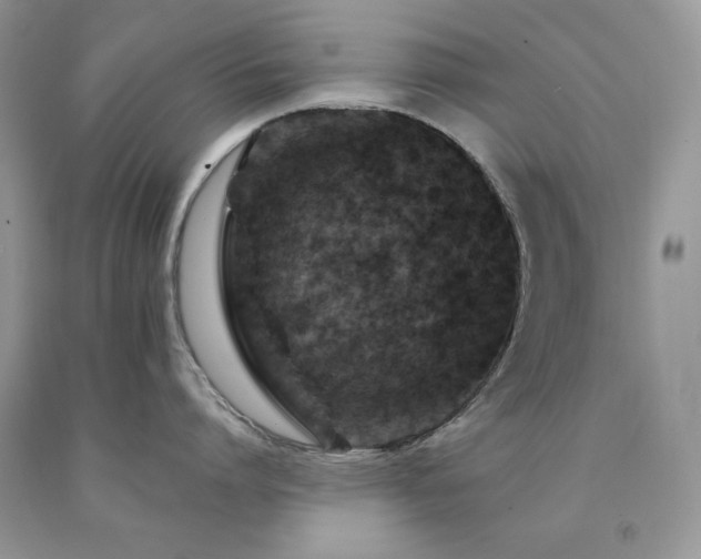 X0000094170864200710261107