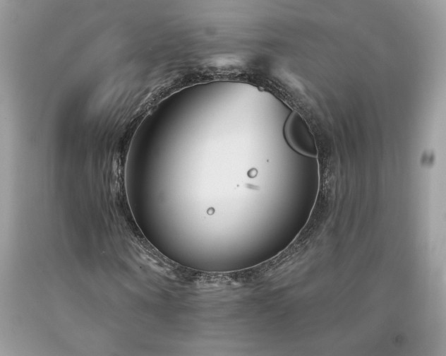 X0000094170866200710261107