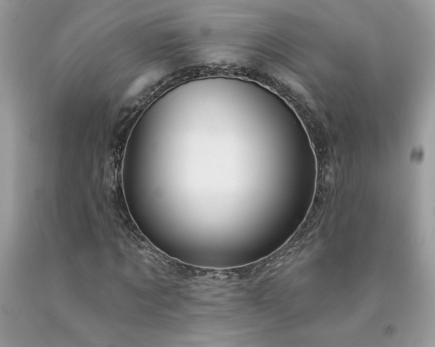 X0000094170869200710261106