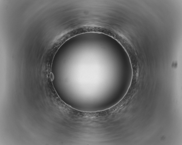 X0000094170870200710261106