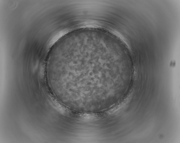 X0000094170874200710261106