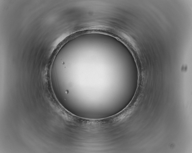 X0000094170875200710261106