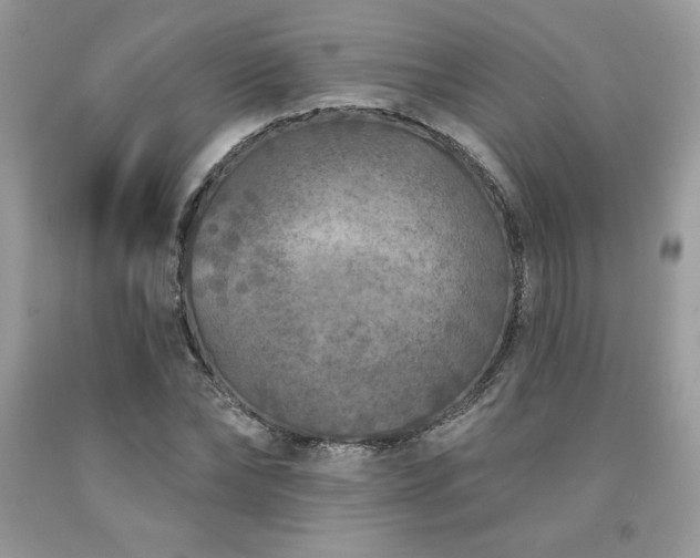 X0000094170878200710261106