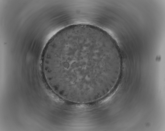 X0000094170879200710261106