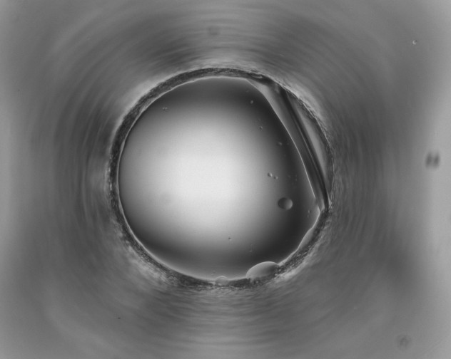 X0000094170880200710261106