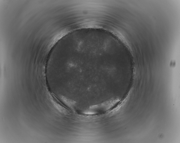 X0000094170881200710261106