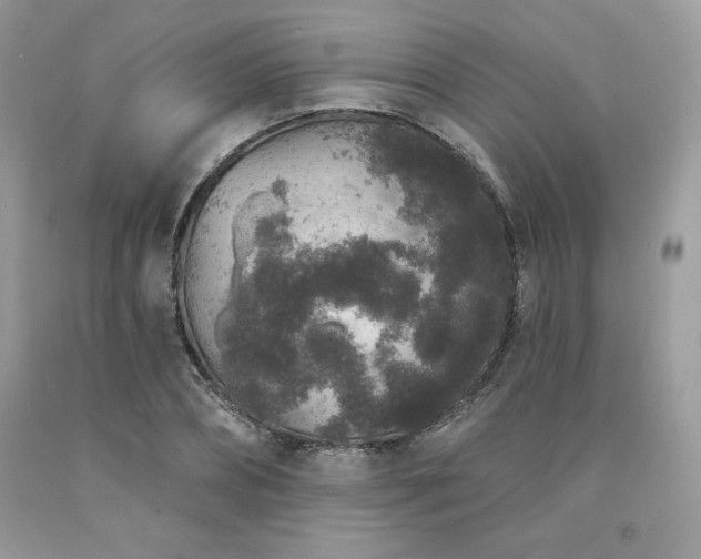 X0000094170882200710261106