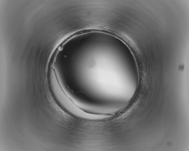 X0000094170884200710261106