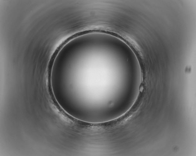 X0000094170888200710261106
