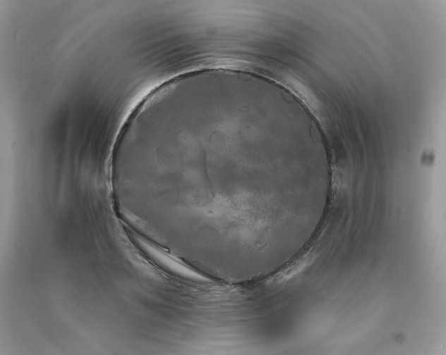 X0000094170891200710261106