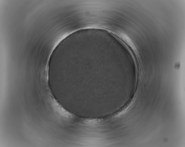 X0000094170892200710261106