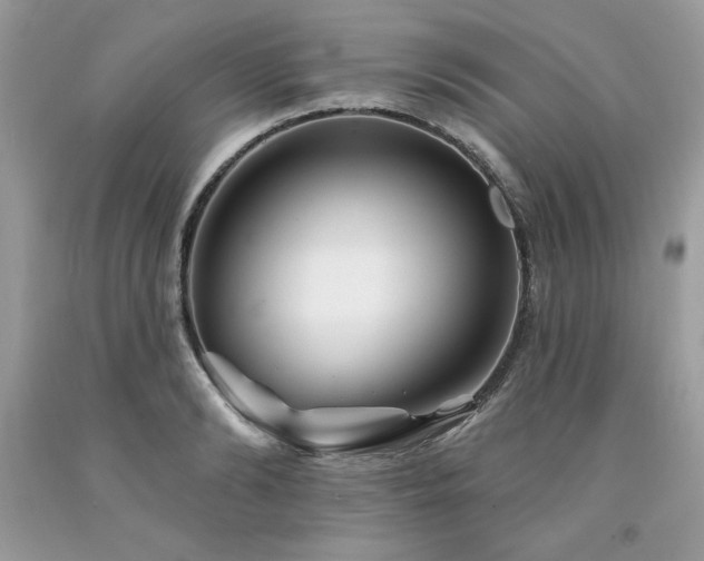 X0000094170894200710261106